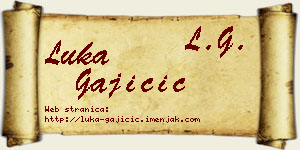 Luka Gajičić vizit kartica